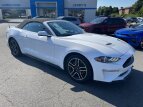 Thumbnail Photo 34 for 2020 Ford Mustang